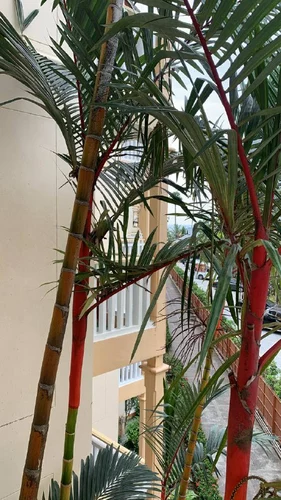 Karon Princess Hotel