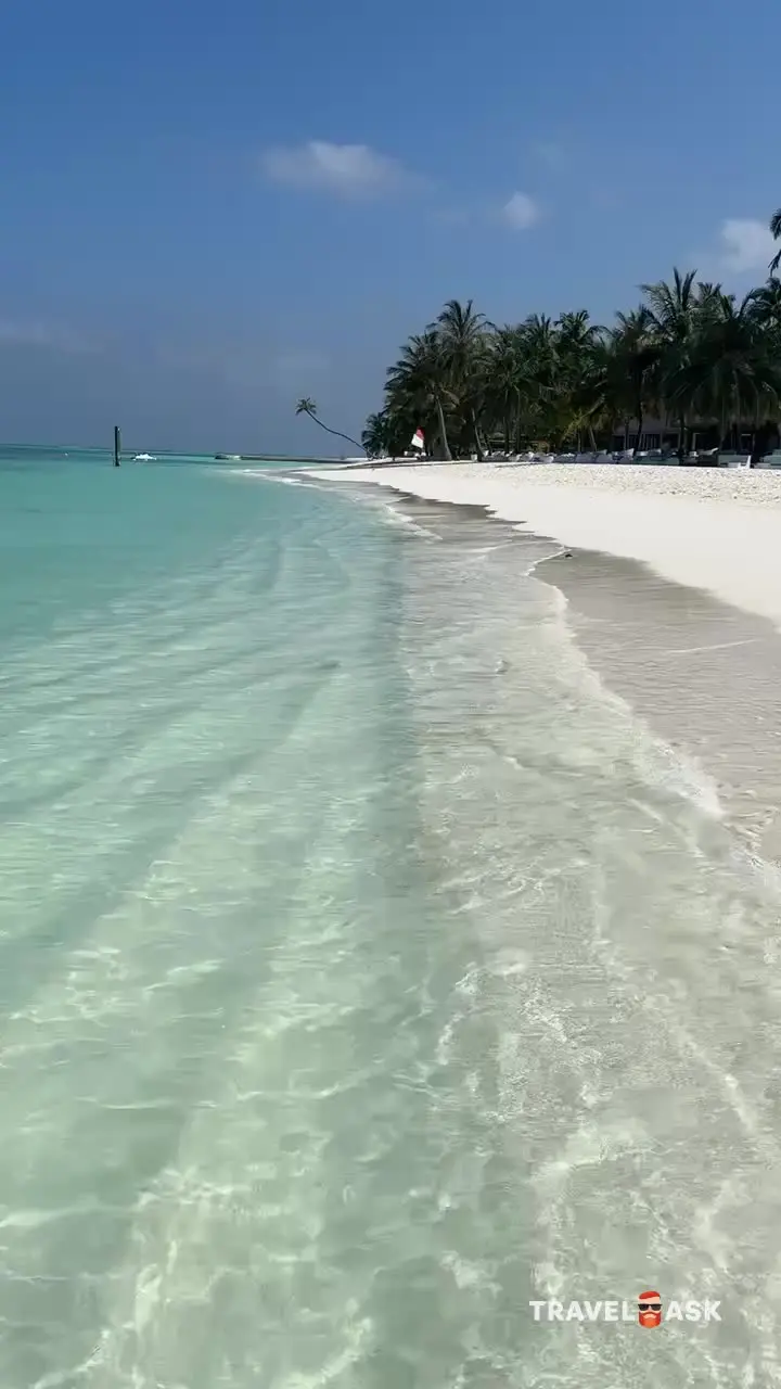video__preview