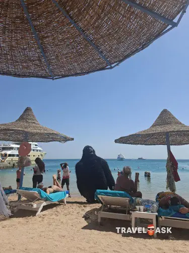 Marlin Inn Azur