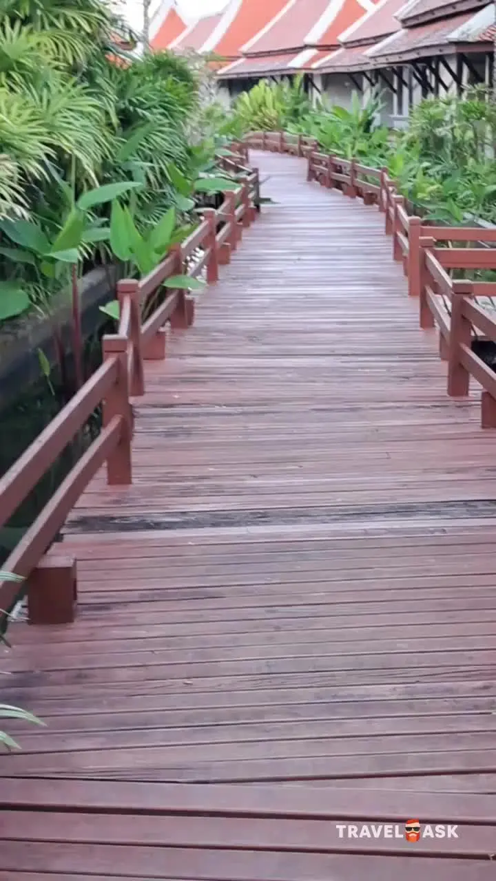 video__preview