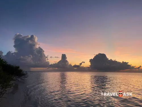 Plumeria Maldives