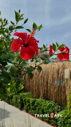 Q Premium Resort