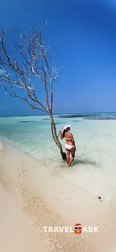 Rashu Hiyaa