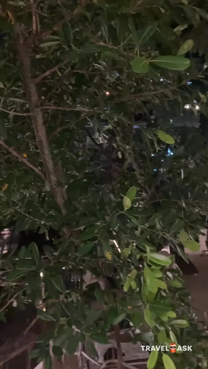 video__preview