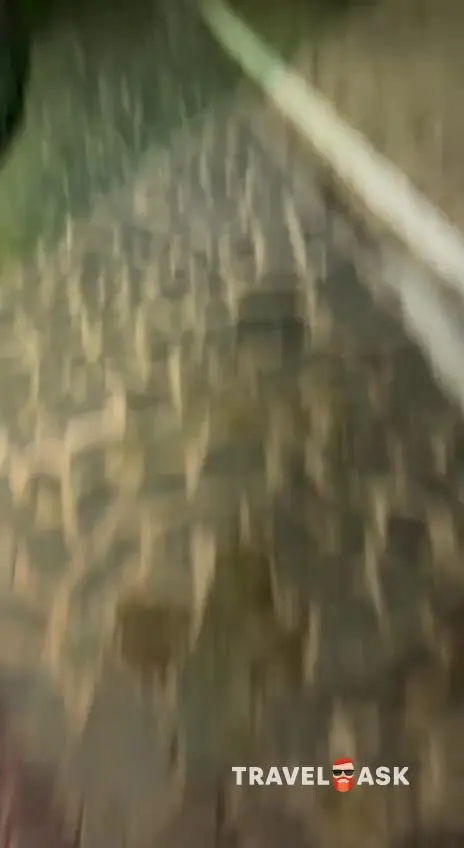 video__preview