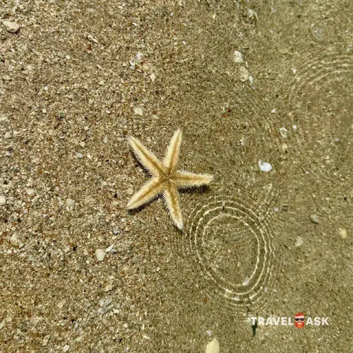 Marriott Resort Palm Jumeirah