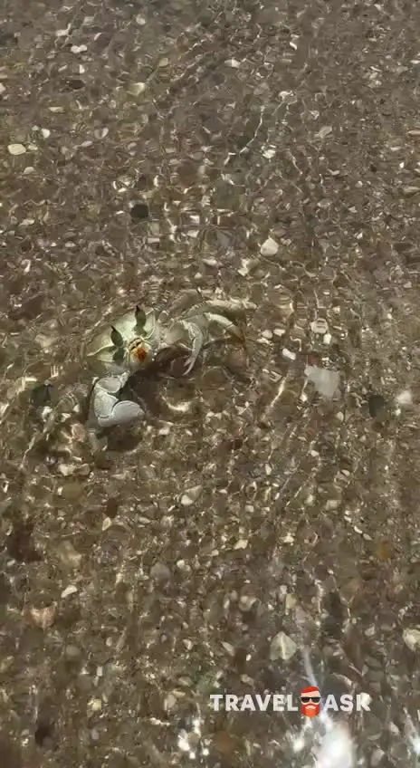 Reef Oasis Beach Resort