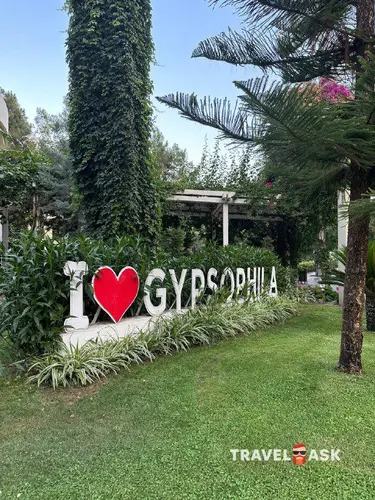 Gypsophila Club Marine