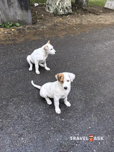 Пансионат Айтар