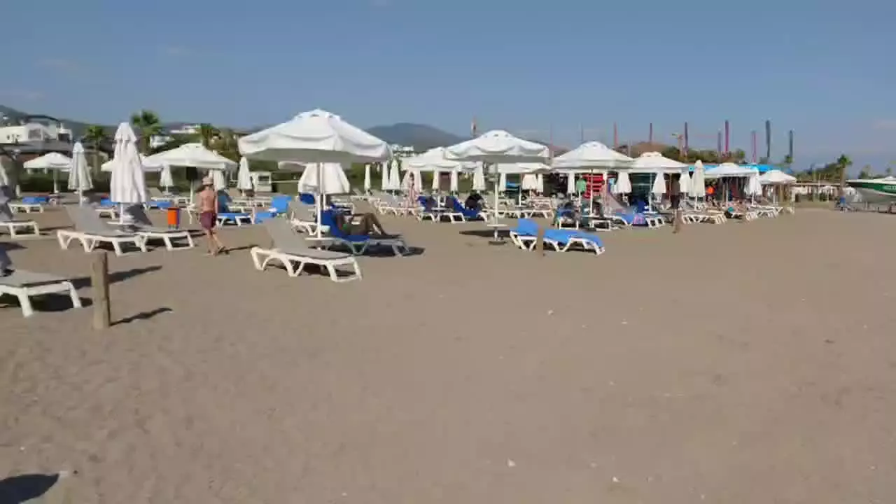 video__preview