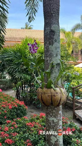 Chivatara Resort & Spa Bang Tao Beach Phuket