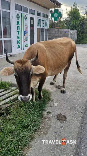 Райский Уголок Отель