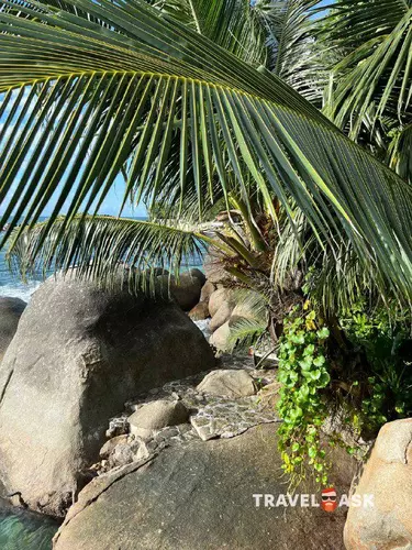 Bliss Hotel Seychelles