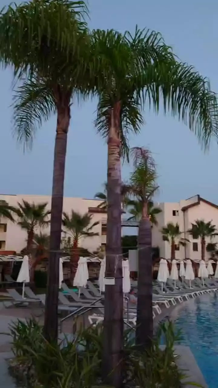video__preview