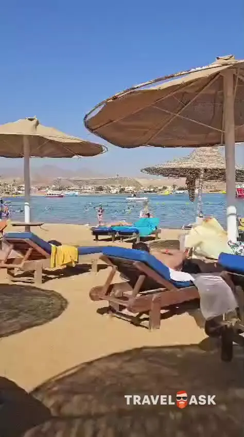 video__preview