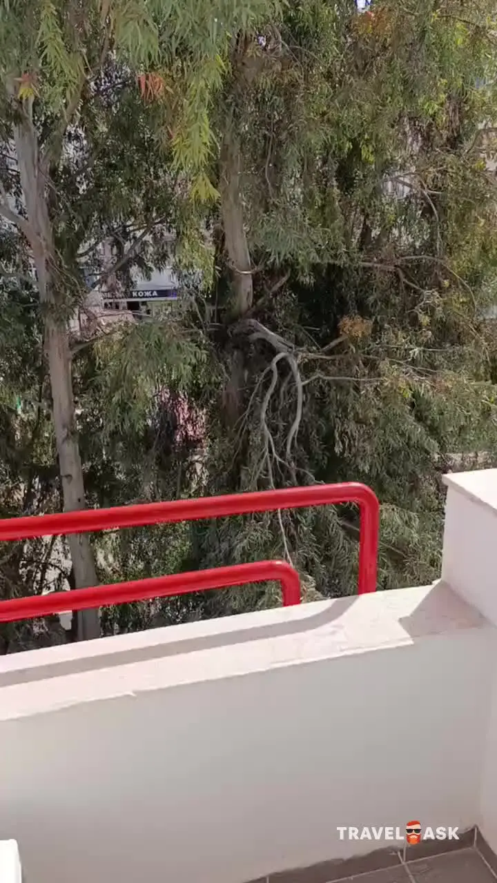 video__preview