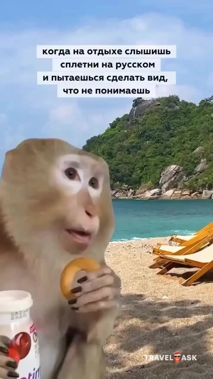 video__preview