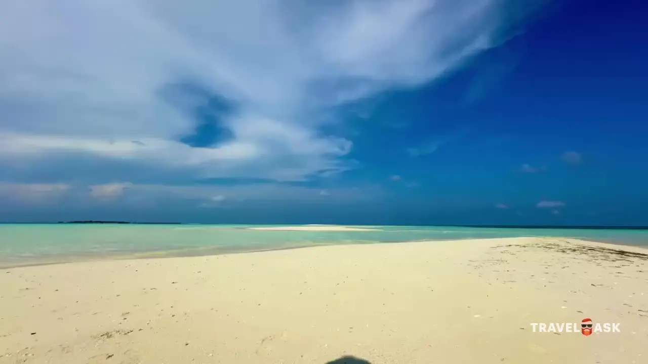 video__preview