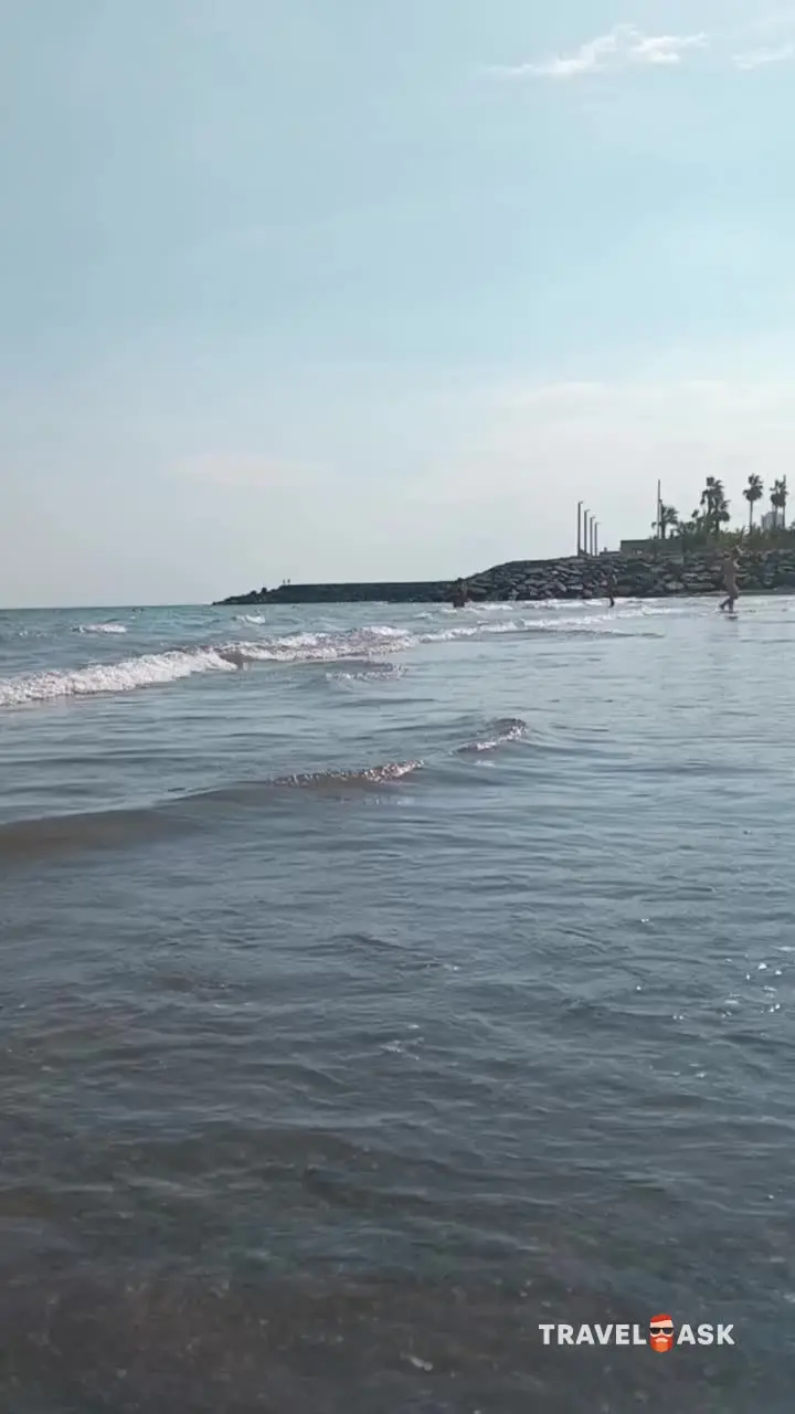 video__preview