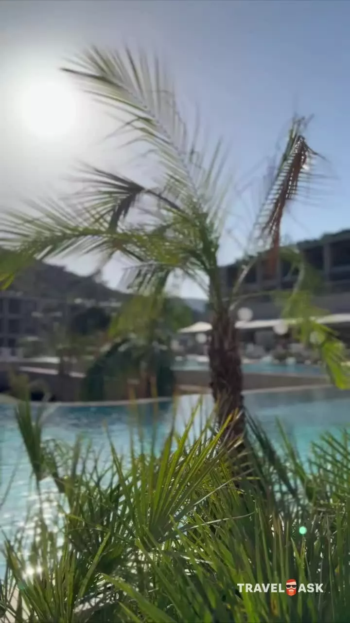 video__preview