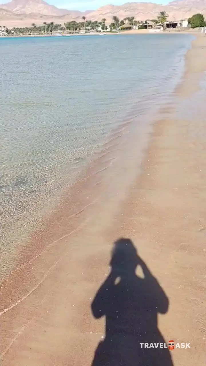 video__preview