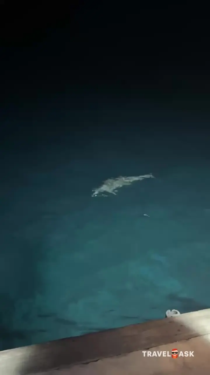 video__preview