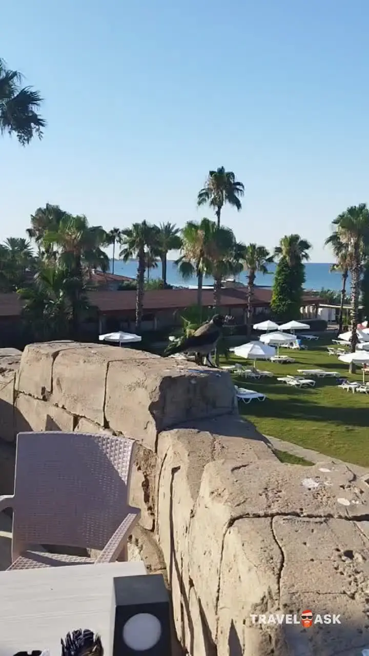 Cesars Side (Ex. Cesars Resort Hotel Side)