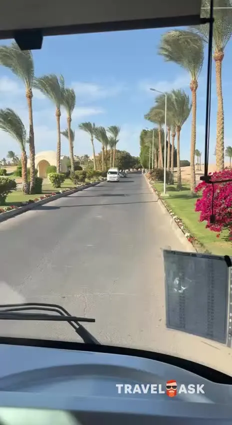 video__preview