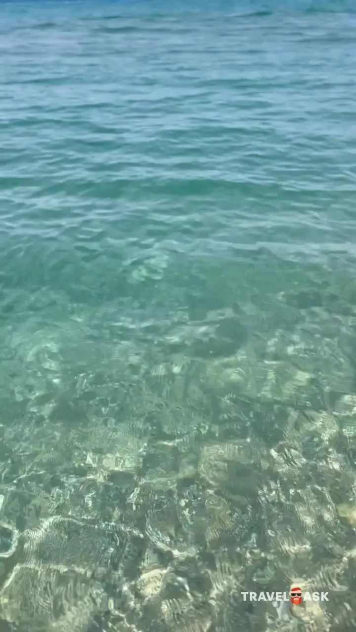 video__preview