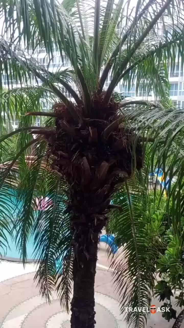 Heeton Concept Hotel Pattaya (Ex. Mercure Hotel Pattaya)