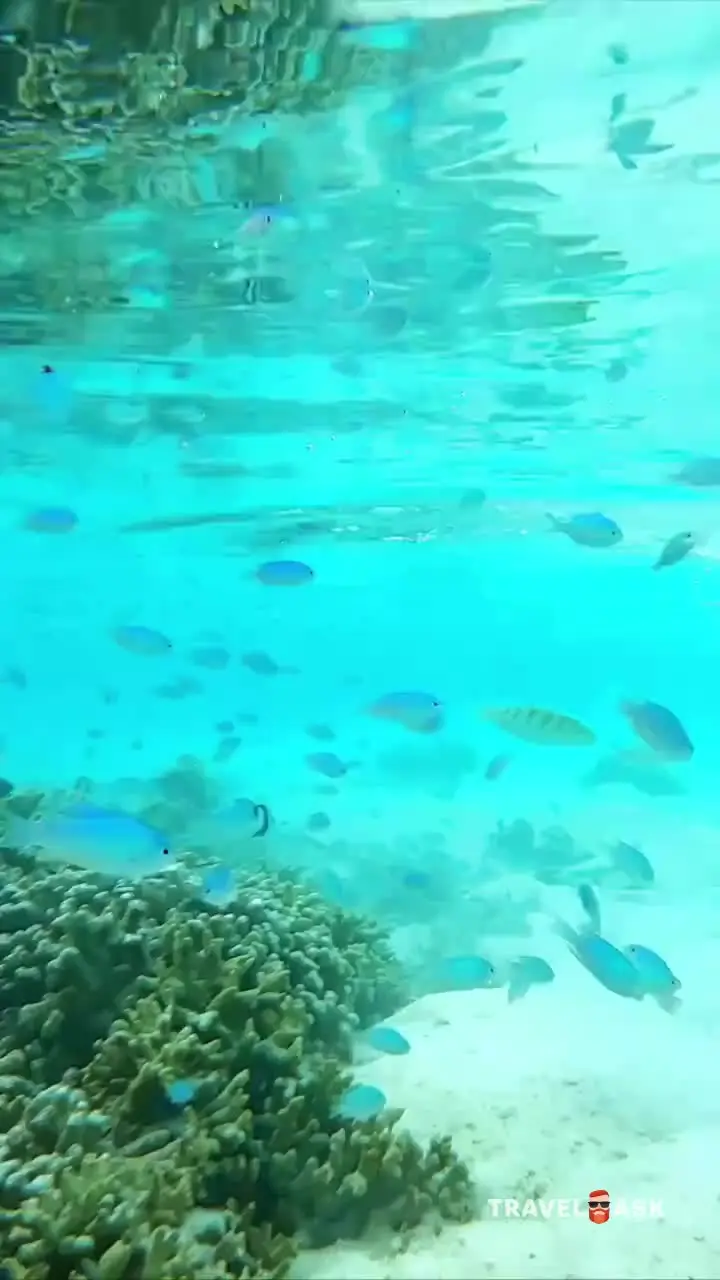 Cinnamon Dhonveli Maldives (Ex.Chaaya Island Dhonveli)