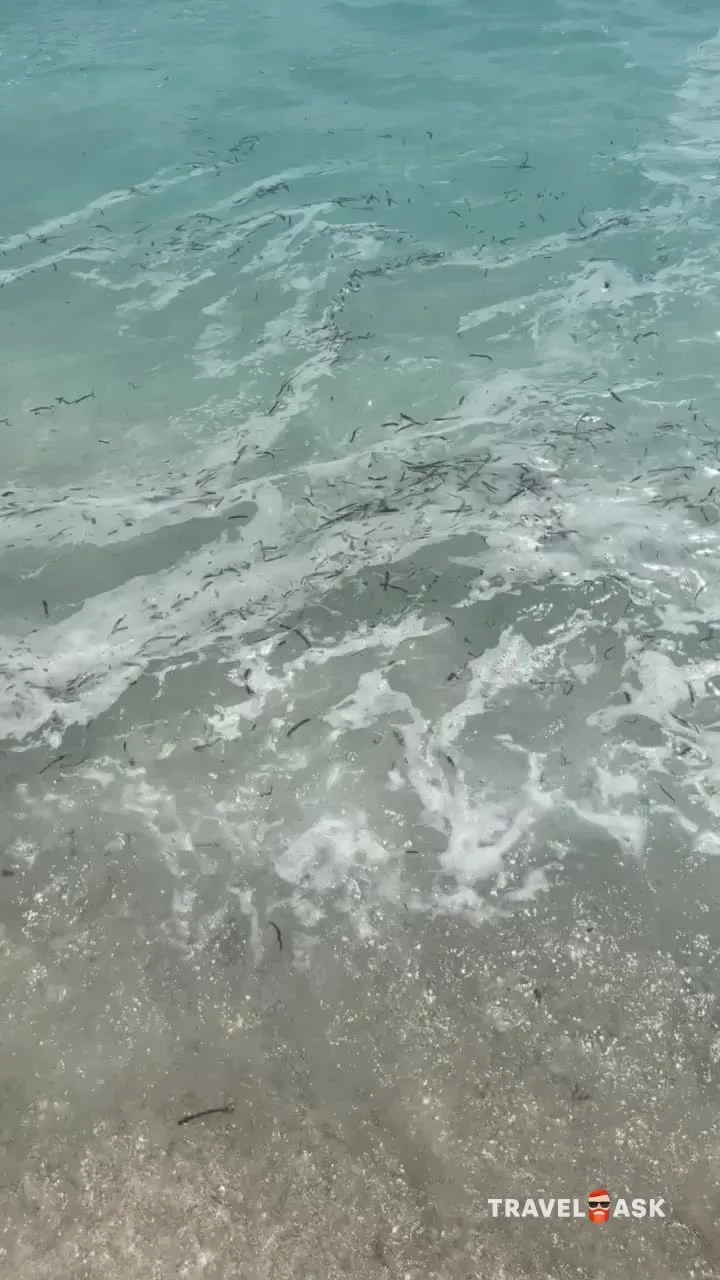 video__preview