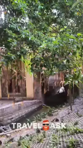 video__preview