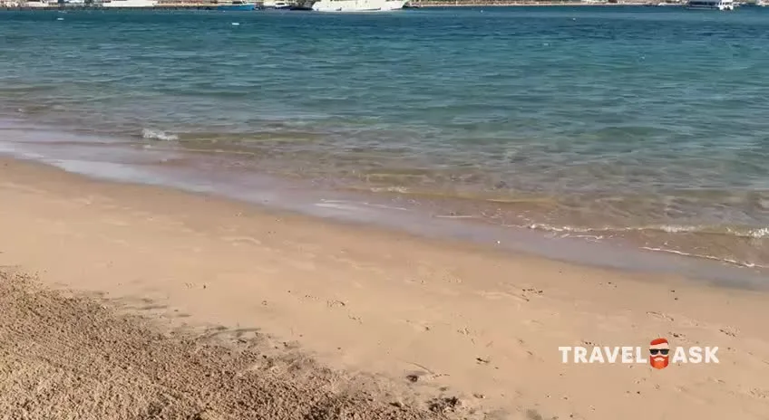video__preview