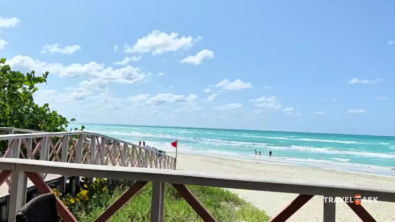 video__preview