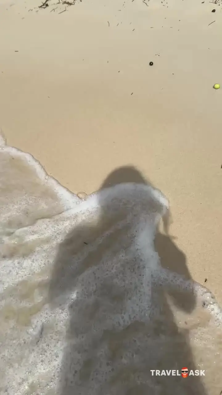 video__preview