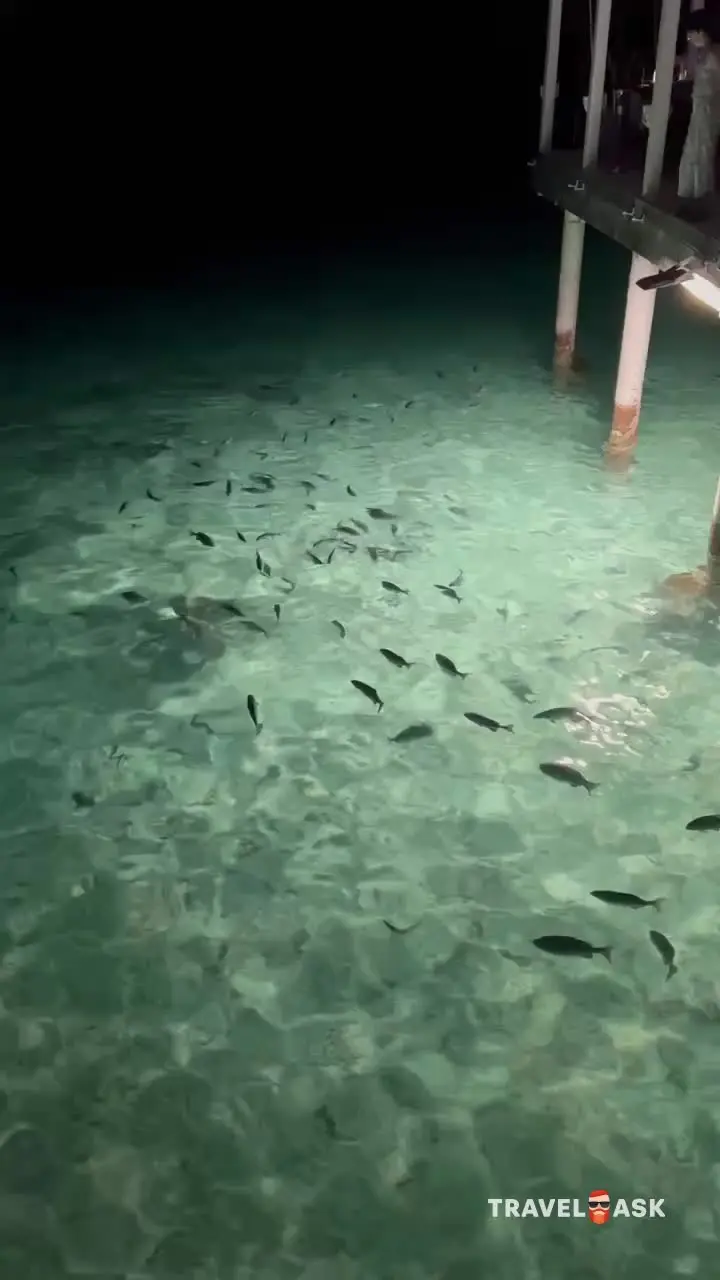 Machchafushi Island Resort & Spa (Ex. Centara Grand Island Resort & Spa Maldives)
