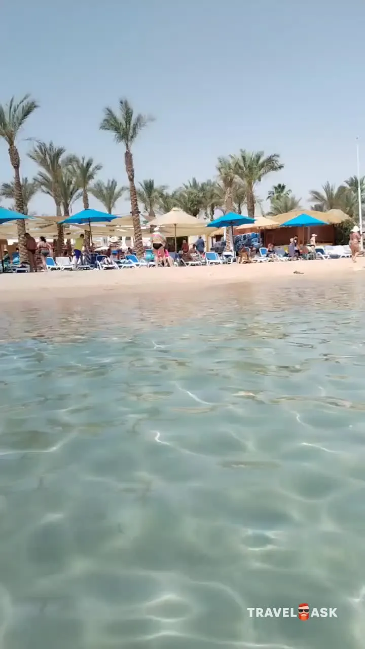 video__preview