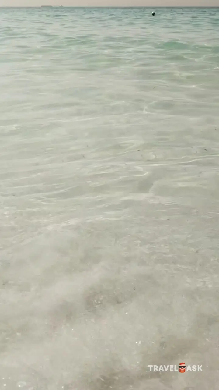 video__preview