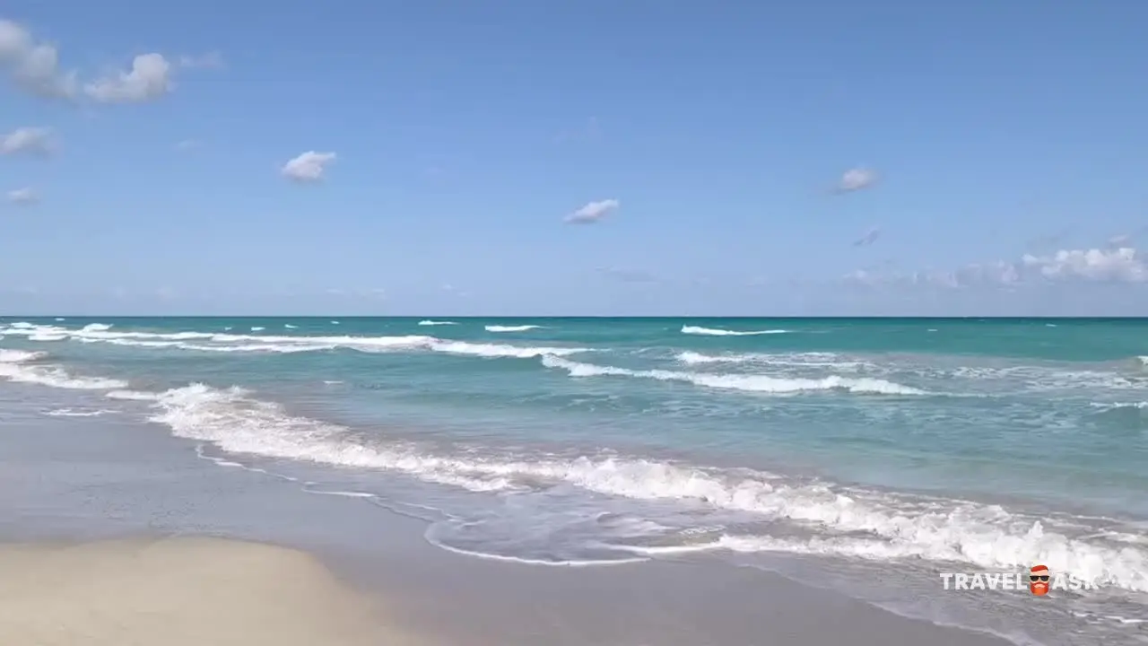 video__preview