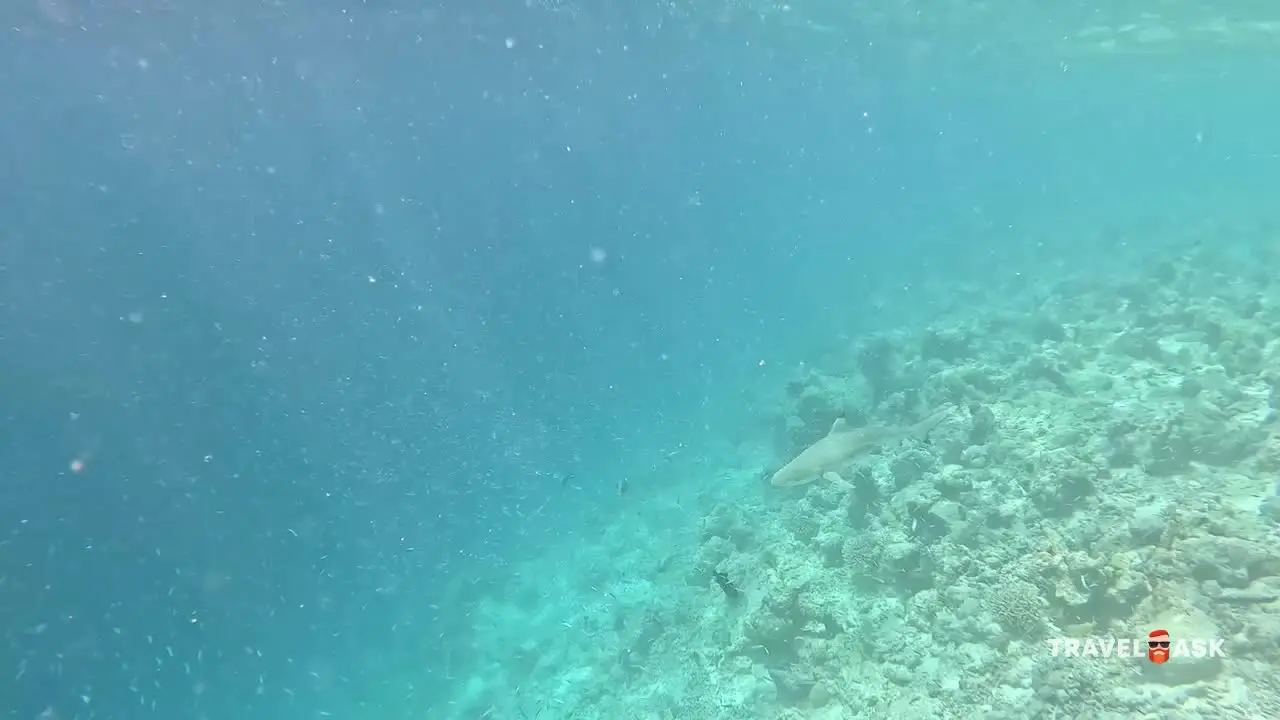 Nakai Maayafushi (Ex.Maayafushi Tourist Resort)