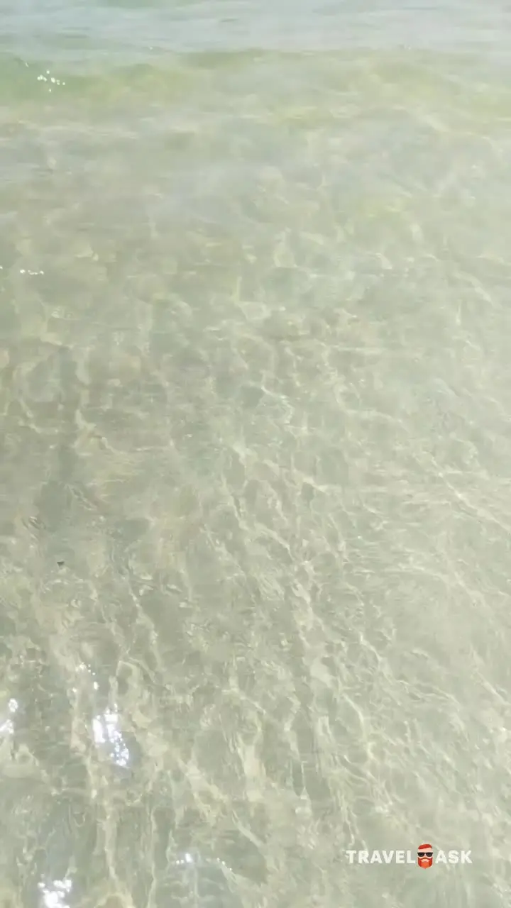 video__preview