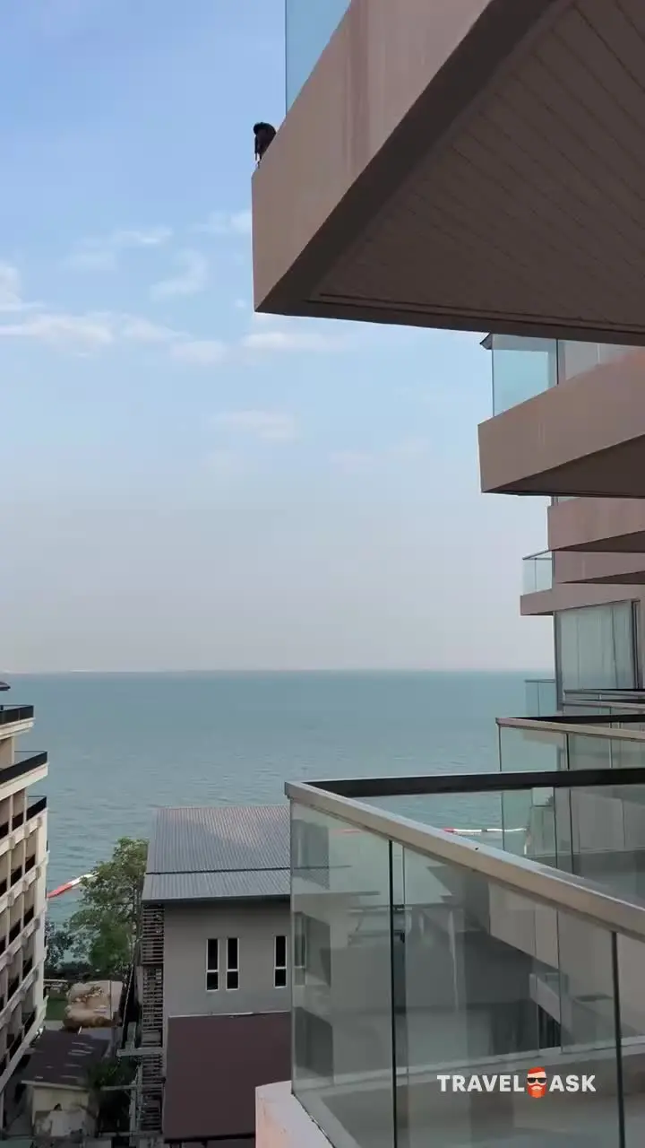 video__preview
