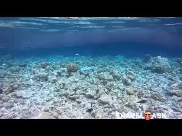 Nova Maldives