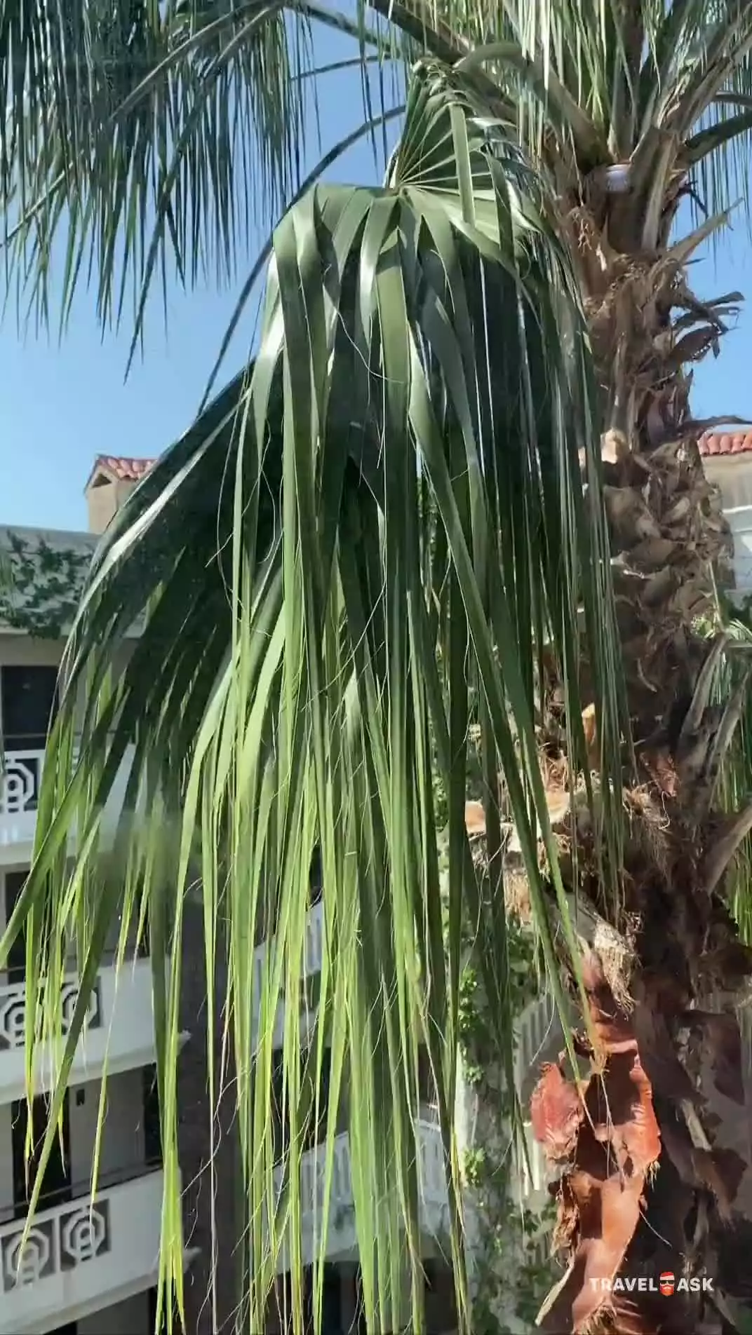 Utopia Resort & Residence (Ex.Alara Park Residence Hotel)