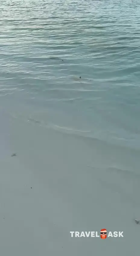 Riu Atoll