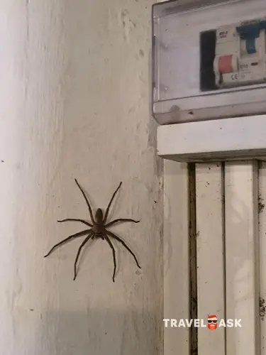 Dickwella Resort And Spa