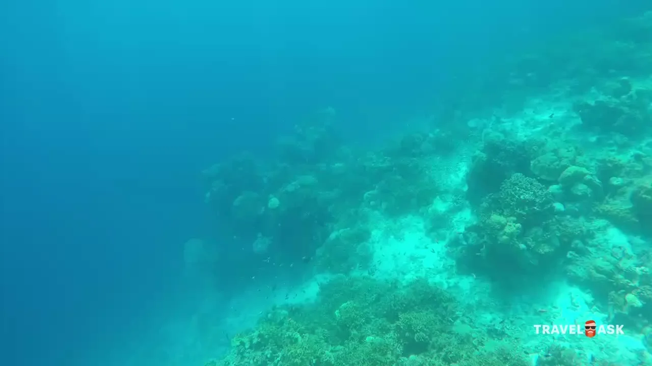 video__preview