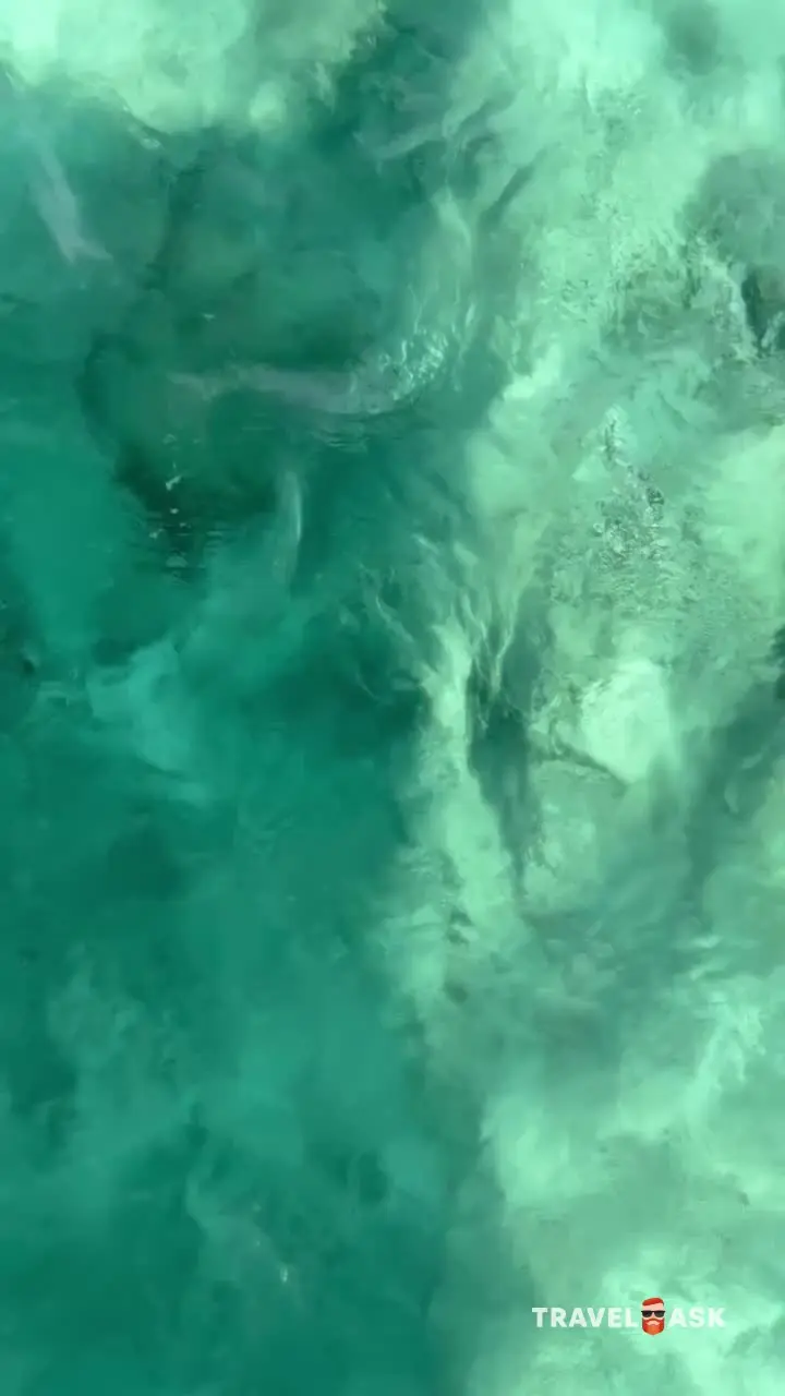 Summer Island Maldives