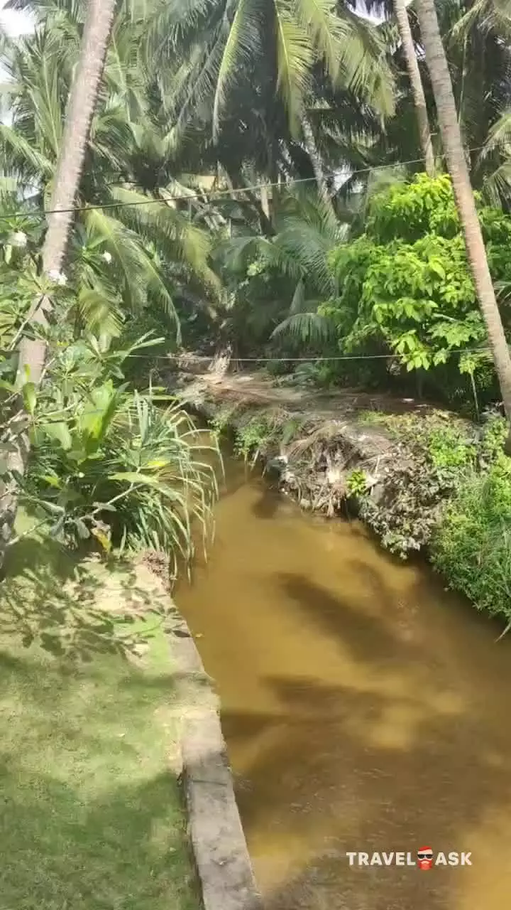 Rockside Beach Resort